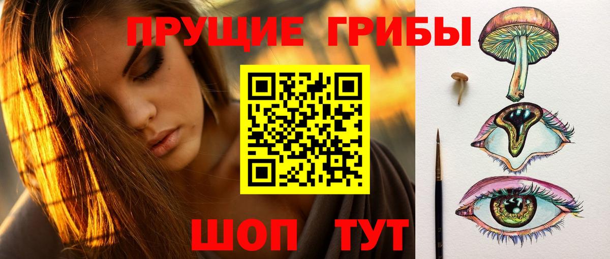 Псилоцибиновые грибы прущие грибы Светлоград